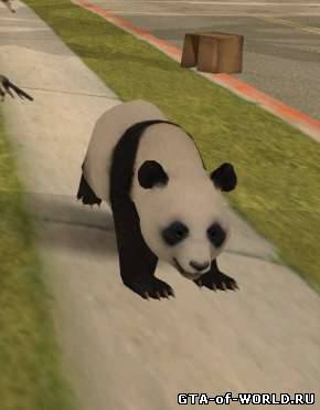 Panda Bear