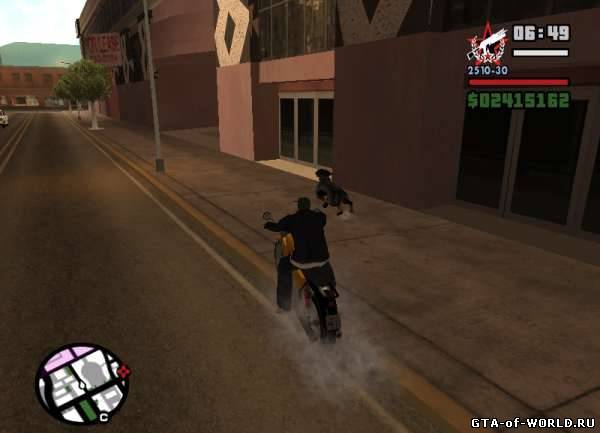 Street Animals v2